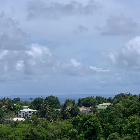 Les Villas Du Bambou - Appartement Azul De 1 A 3 Pers เลอโกซิเยร์ ภายนอก รูปภาพ