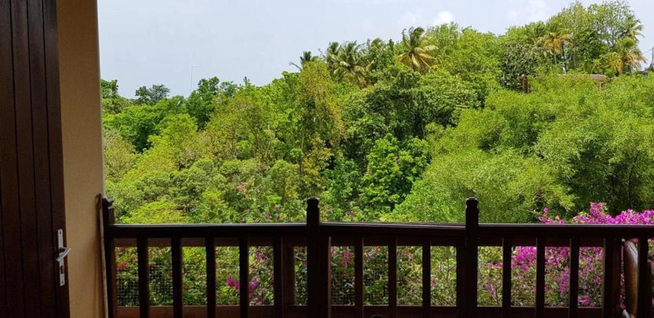 Les Villas Du Bambou - Appartement Azul De 1 A 3 Pers เลอโกซิเยร์ ภายนอก รูปภาพ
